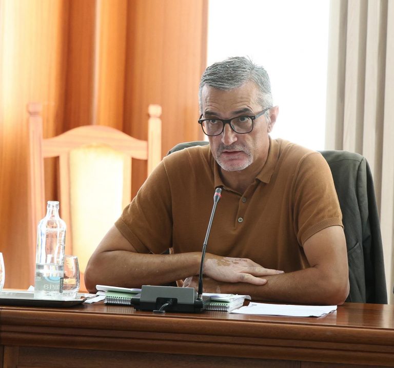 PLENO CABILDO DE LANZAROTE (33)