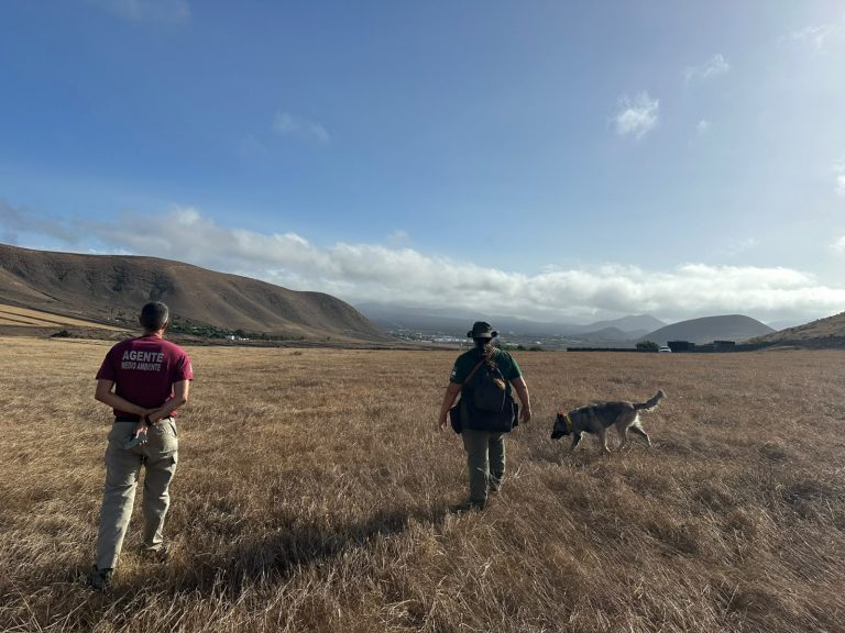 Unidad Canina en Lanzarote