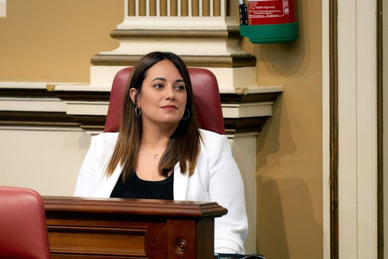 Cristina Calero durante una sesión del Parlamento de Canarias