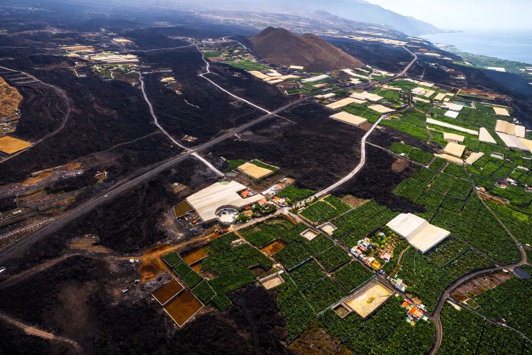 vista aérea de la zona de plataneras afectada por la erupción