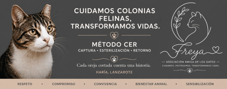 Cartel de la campaña del método CER para el cuidado de las colonias felinas de Haría