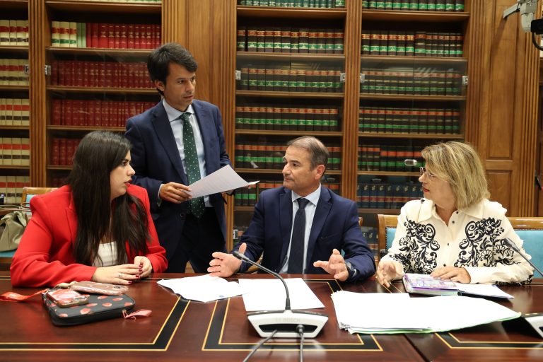 Diputados socialistas por Lanzarote y La Graciosa en el Parlamento de Canarias